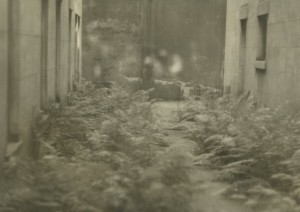 Haunted alley image